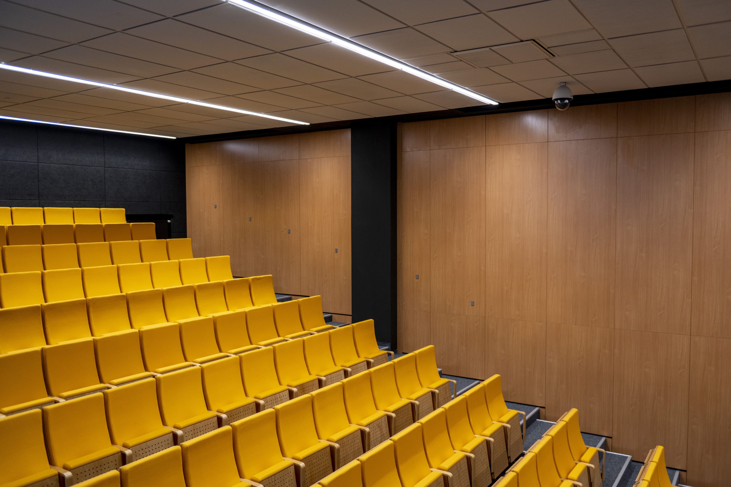 Maria Curie-Sklodowska University in Lublin, Faculty of Political Science